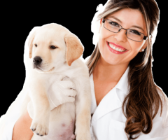 Veterinaria Catavet